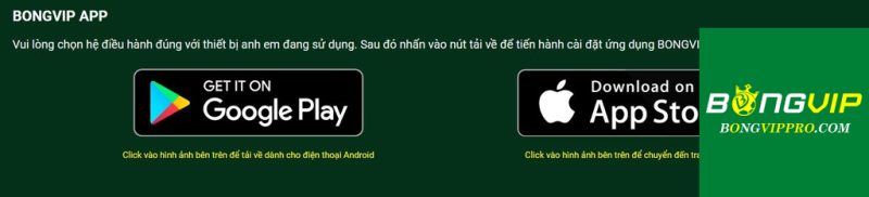 Download ứng dụng Bongvip về cả hai hệ điều hành Android & iOS